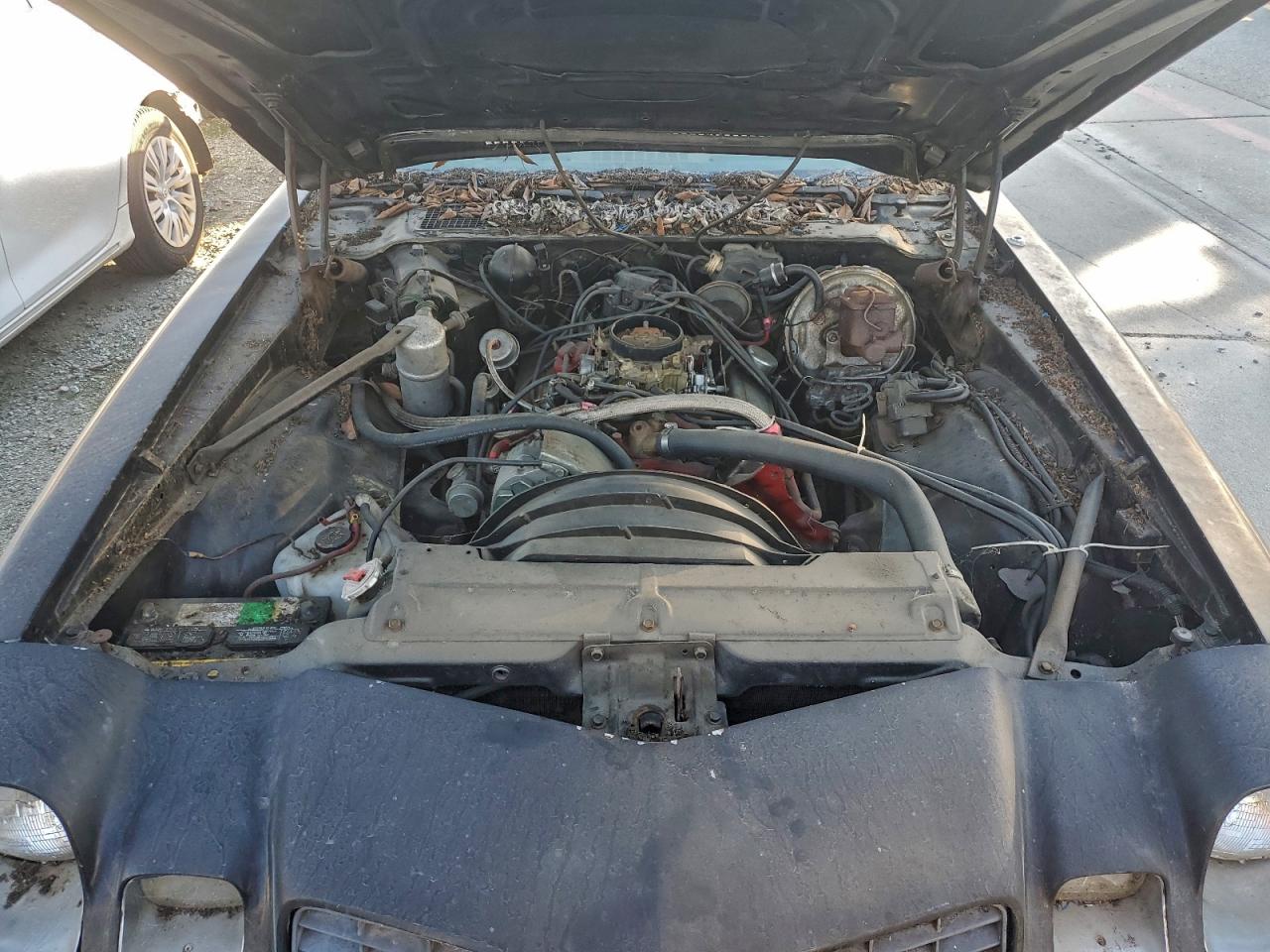 Chevrolet Camaro Image 3