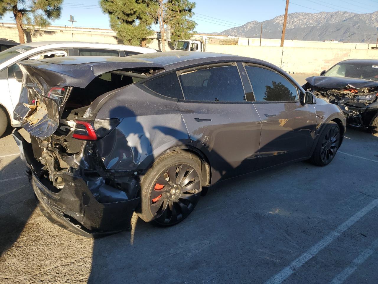 Tesla Model Y Image 2