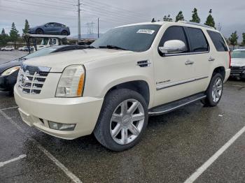  Salvage Cadillac Escalade