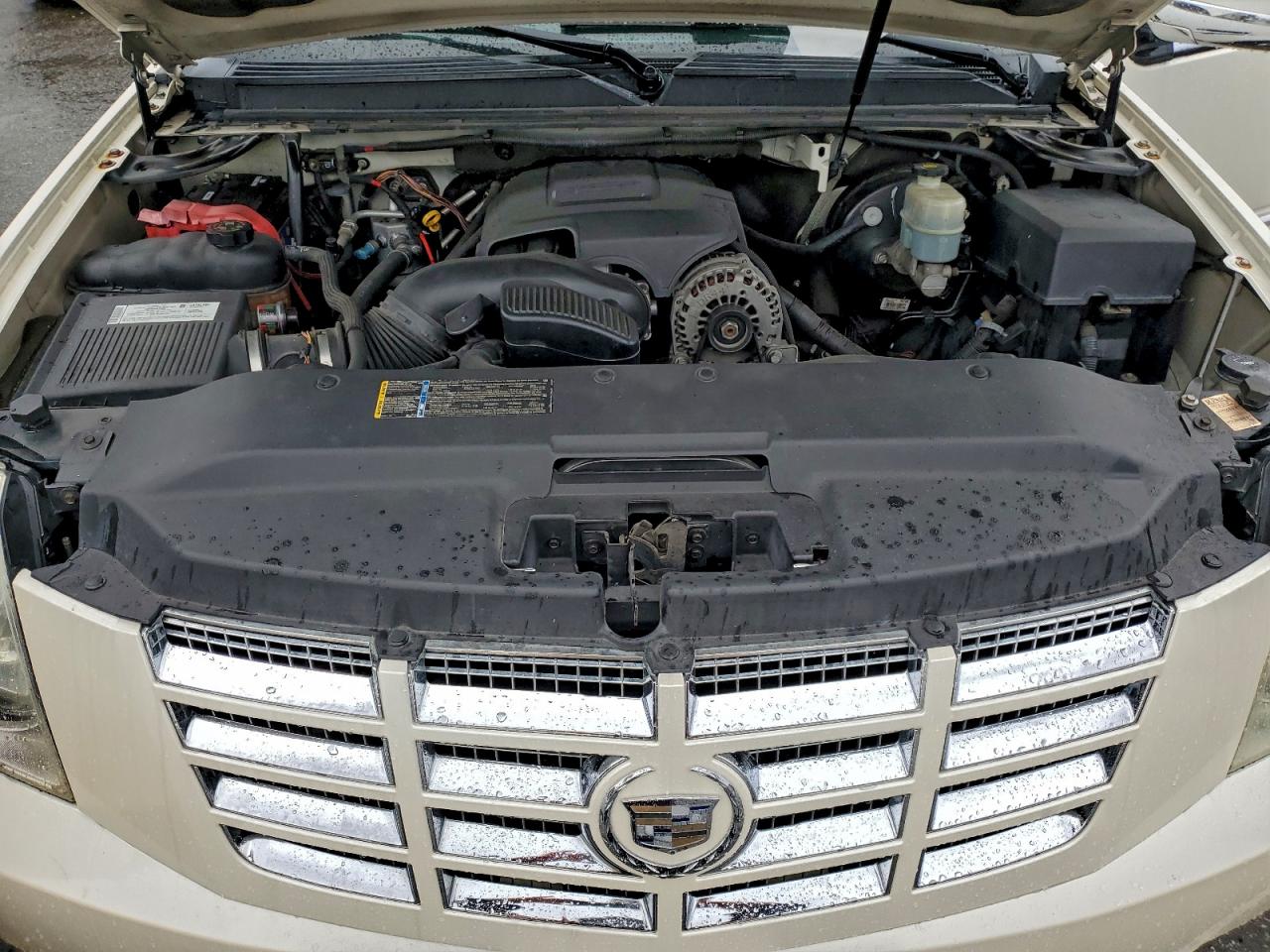 Cadillac Escalade Luxury Image 11