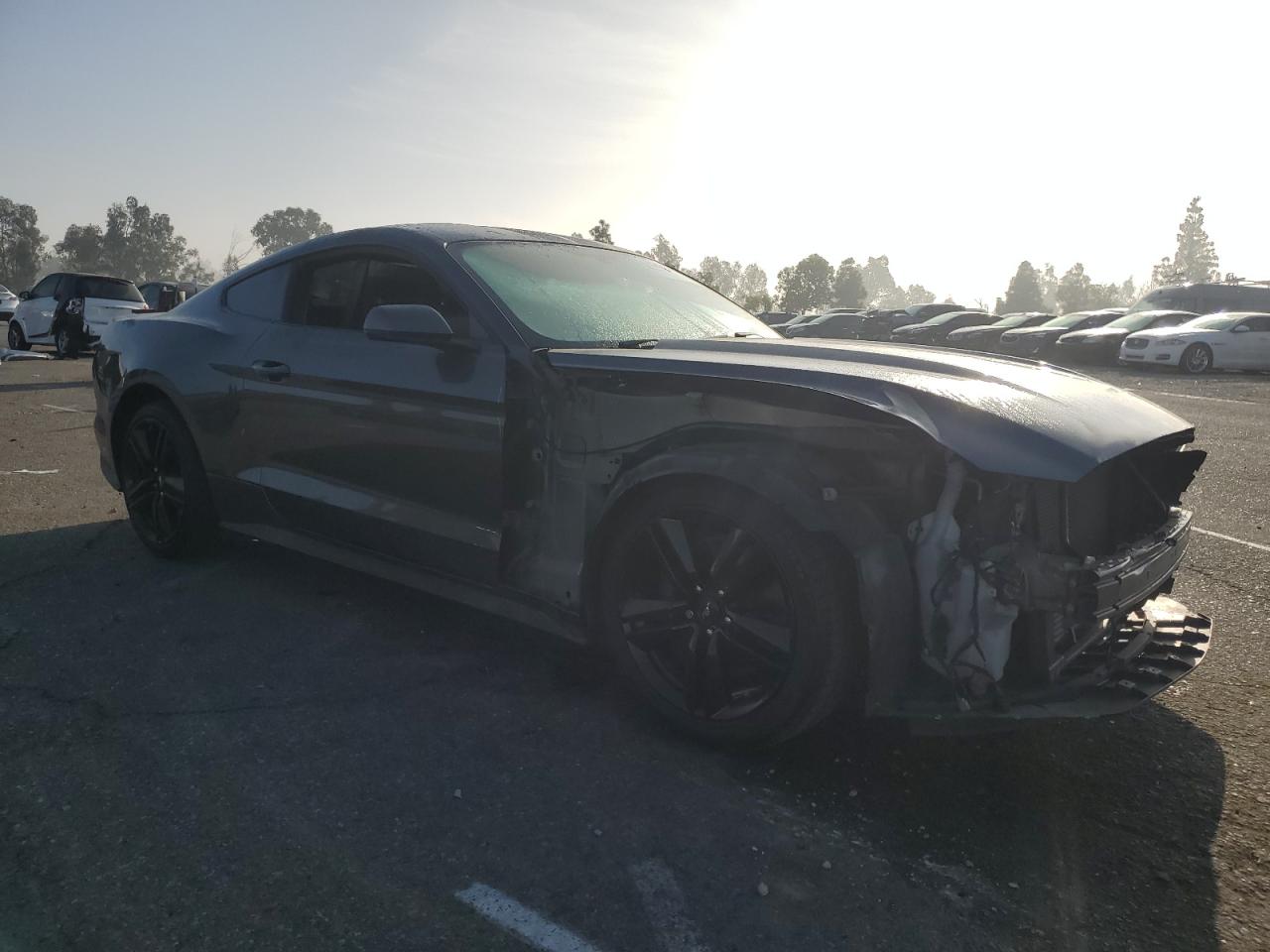 Ford Mustang Image 2