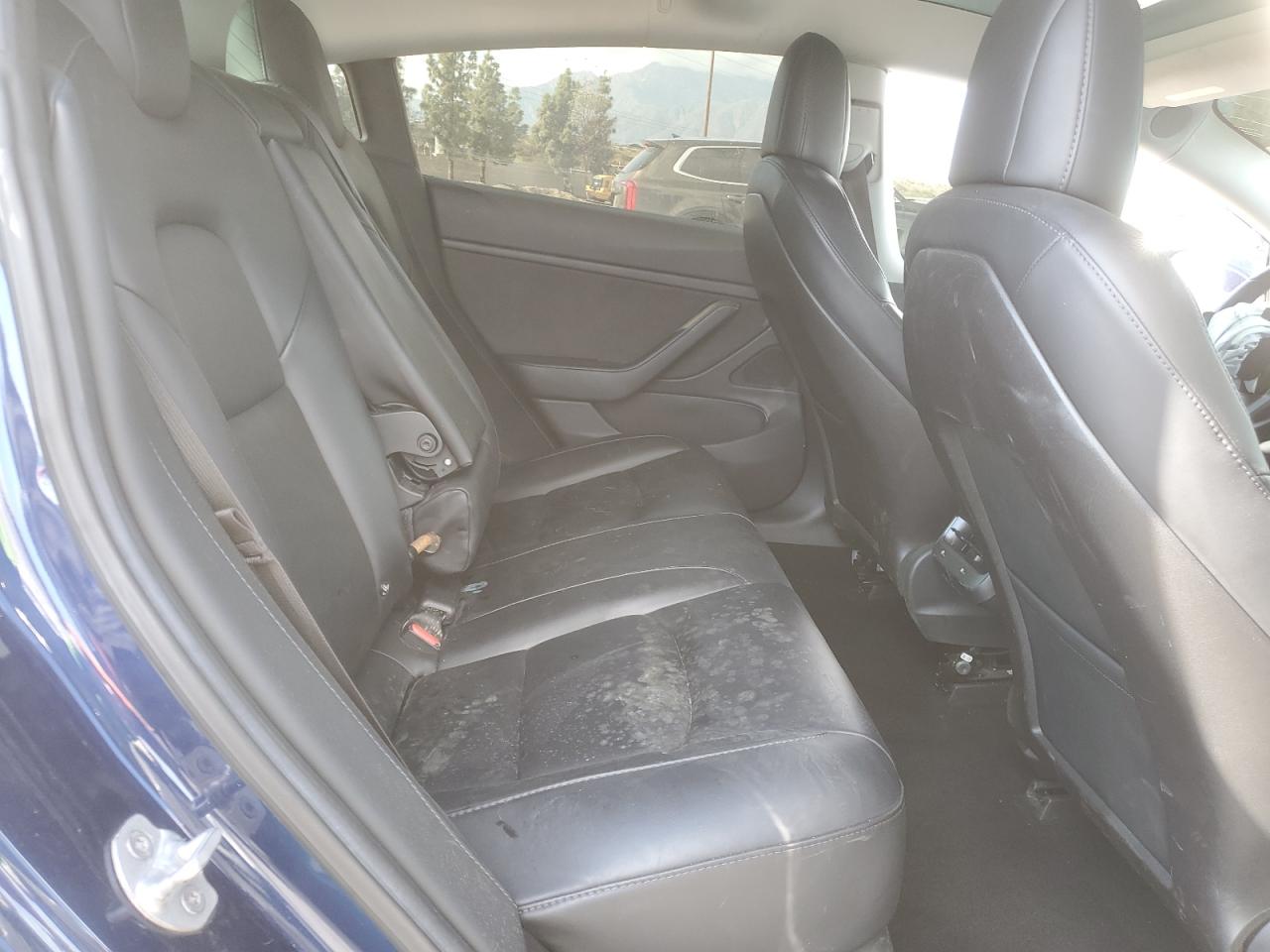 Tesla Model 3 Image 6