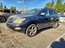 Lexus RX 330 Image 1