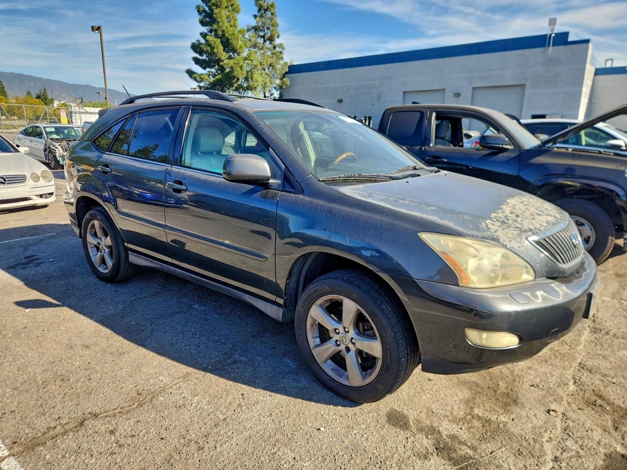 Lexus RX 330 Image 4