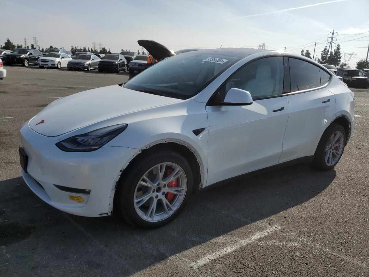 Tesla Model Y Image 1
