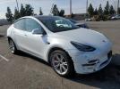 Tesla Model Y Image 8