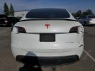 Tesla Model Y Image 4