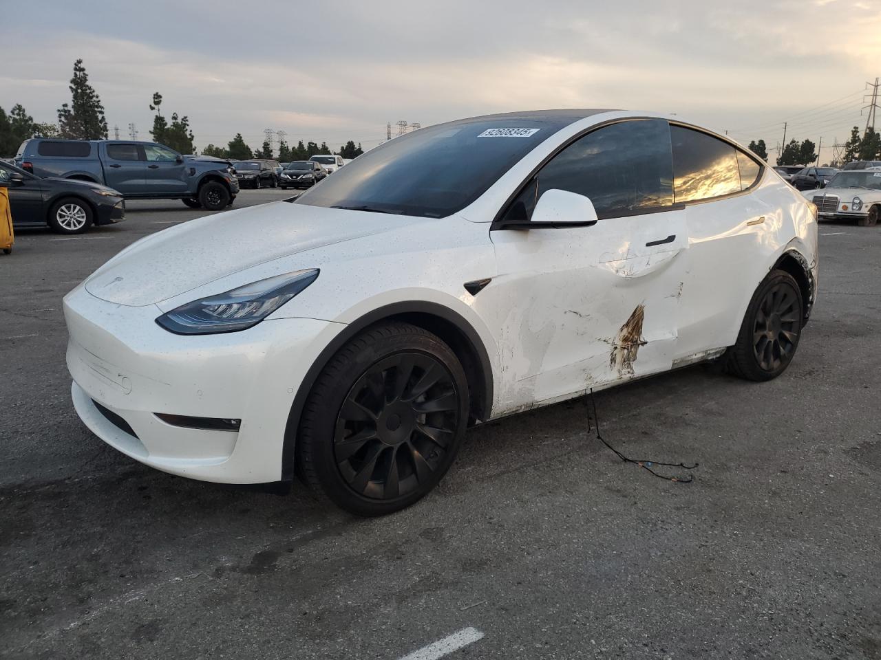 Tesla Model Y Image 1