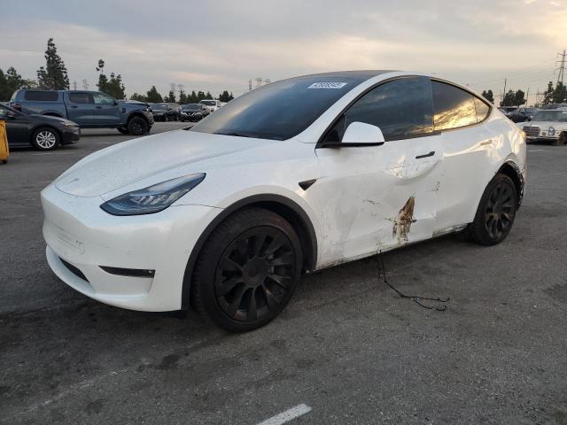  Salvage Tesla Model Y