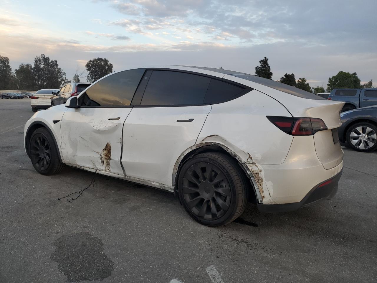 Tesla Model Y Image 5