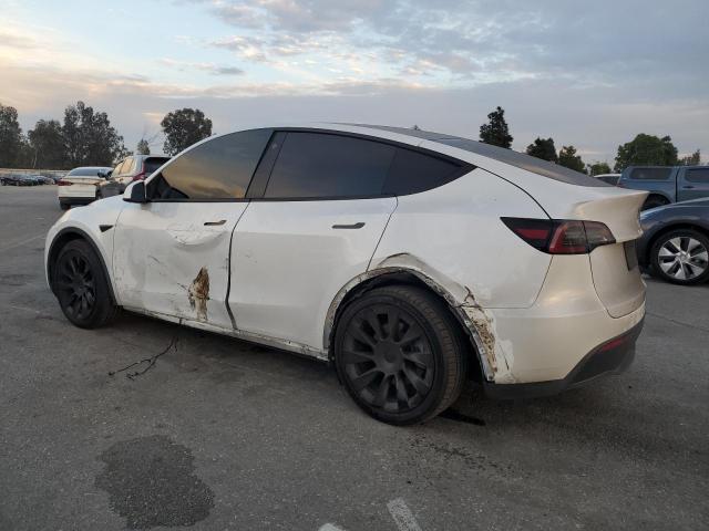 Tesla Model Y Image 5