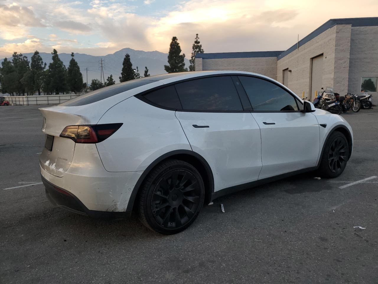 Tesla Model Y Image 7