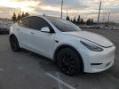 Tesla Model Y Image 6