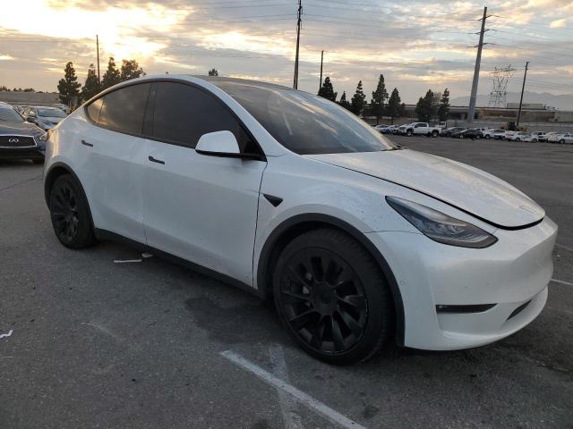 Tesla Model Y Image 6