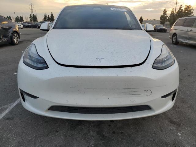 Tesla Model Y Image 4