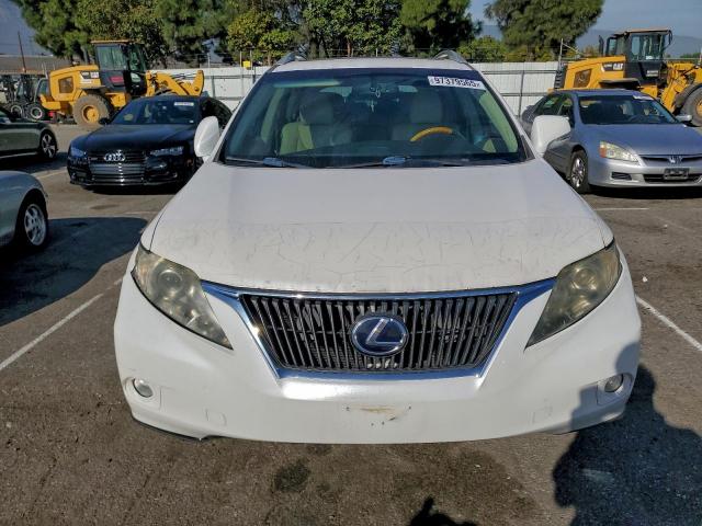 Lexus RX 350 Image 3