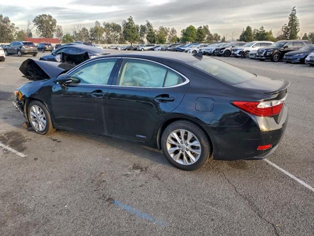 Lexus Es 300h Image 4