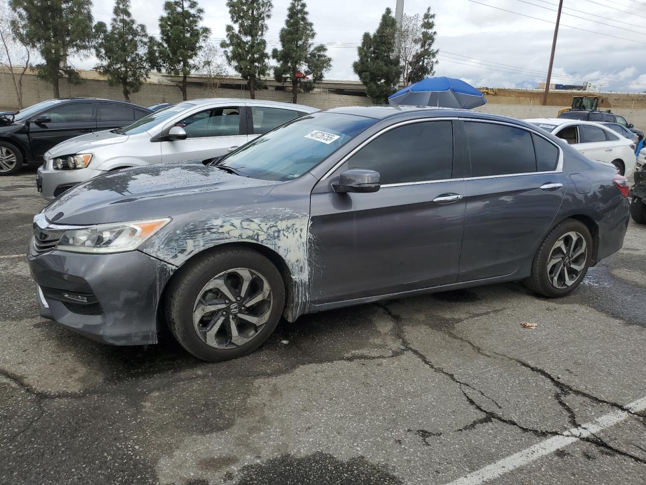 Honda Accord Exl Image 1