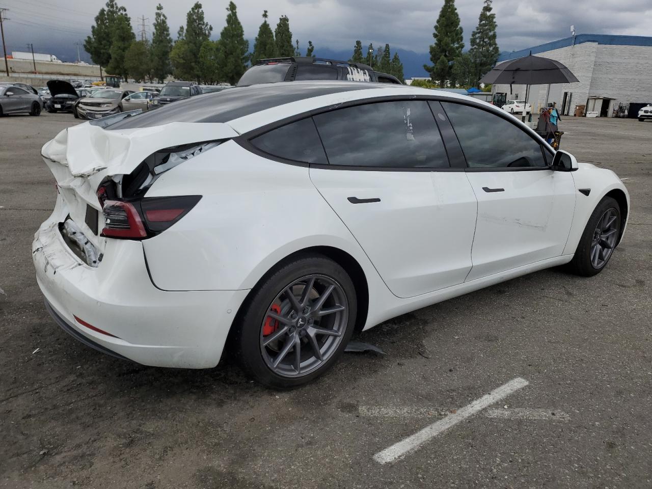 Tesla Model 3 Image 11