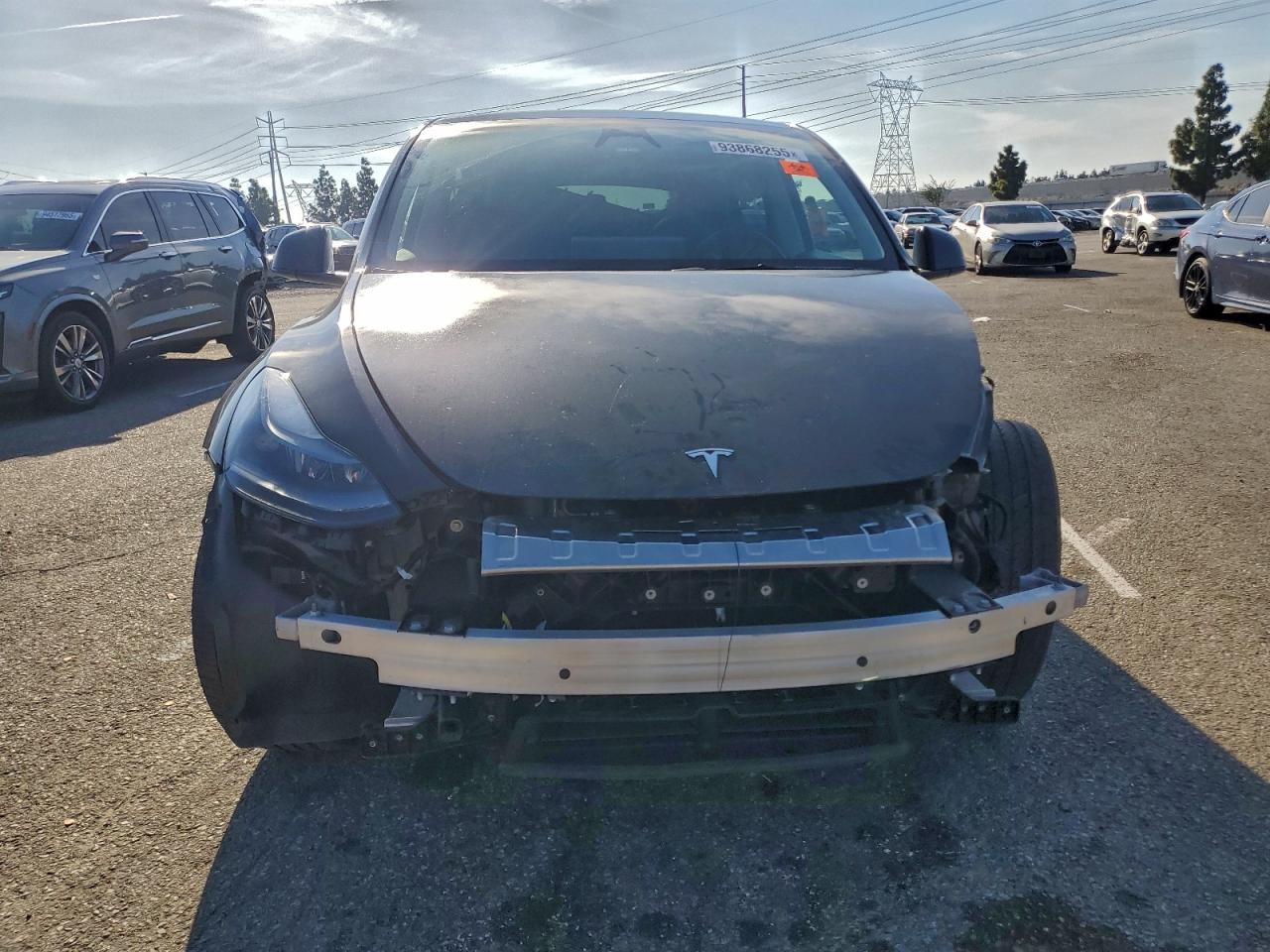 Tesla Model Y Image 5