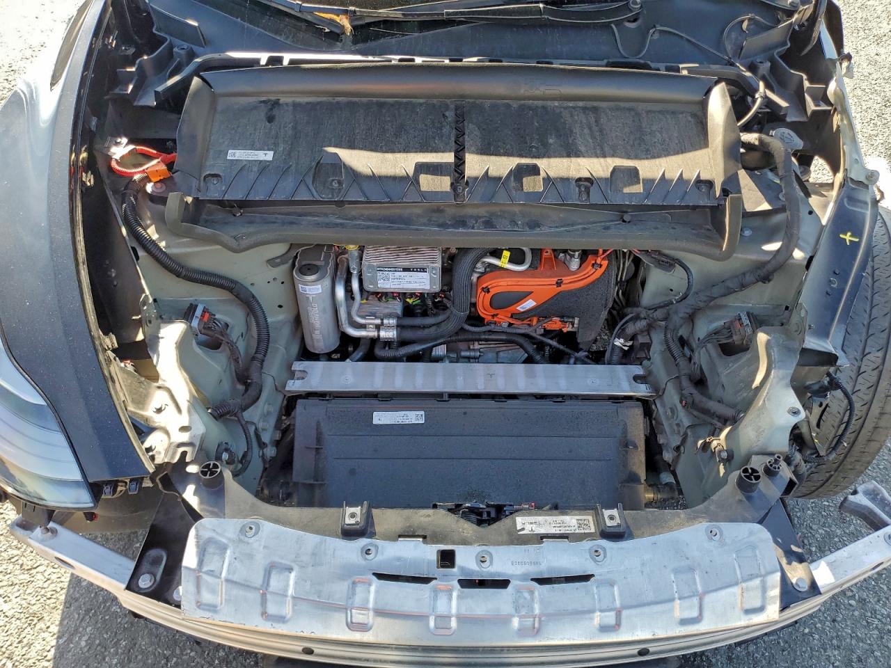 Tesla Model Y Image 3