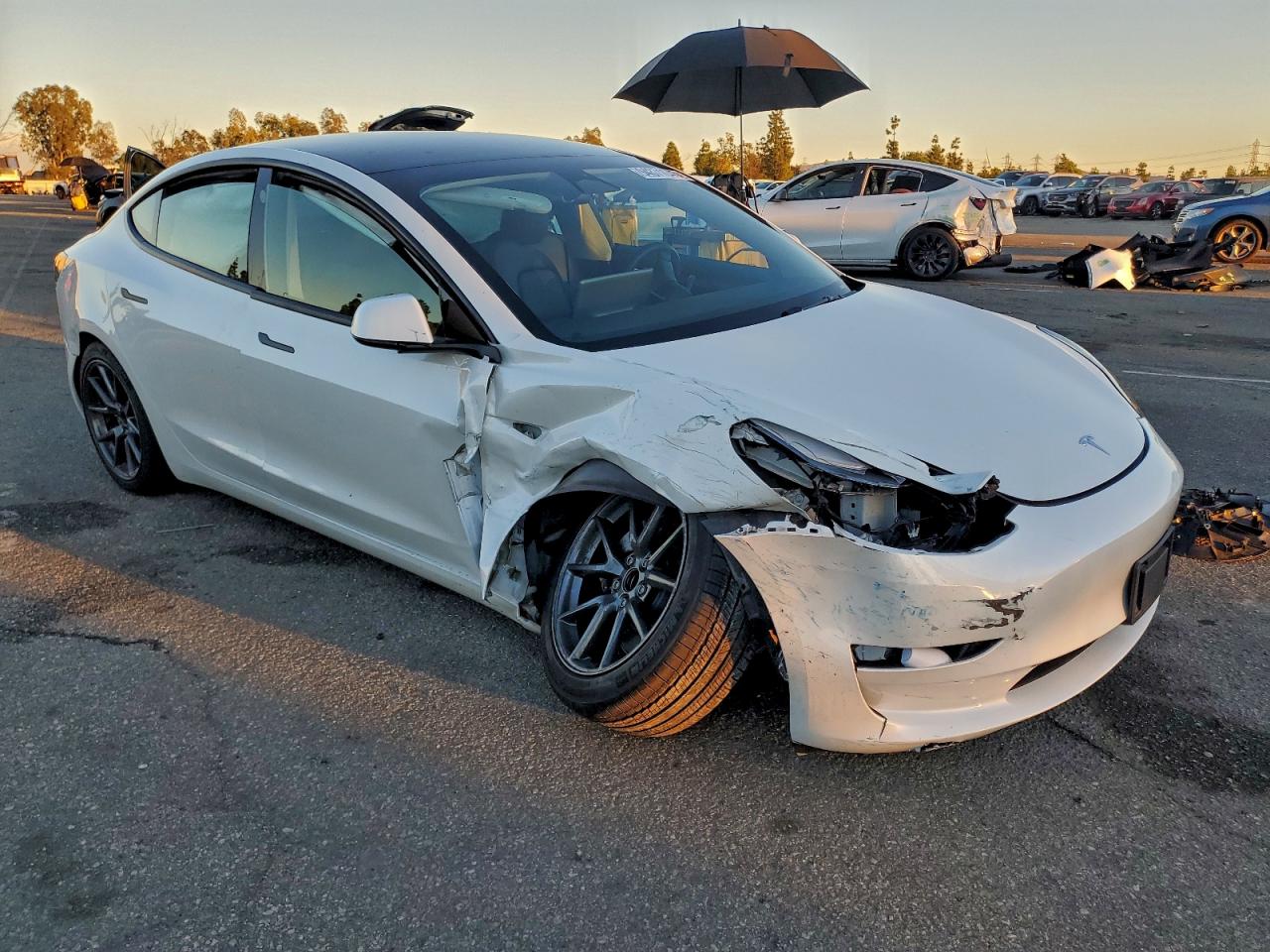 Tesla Model 3 Image 12