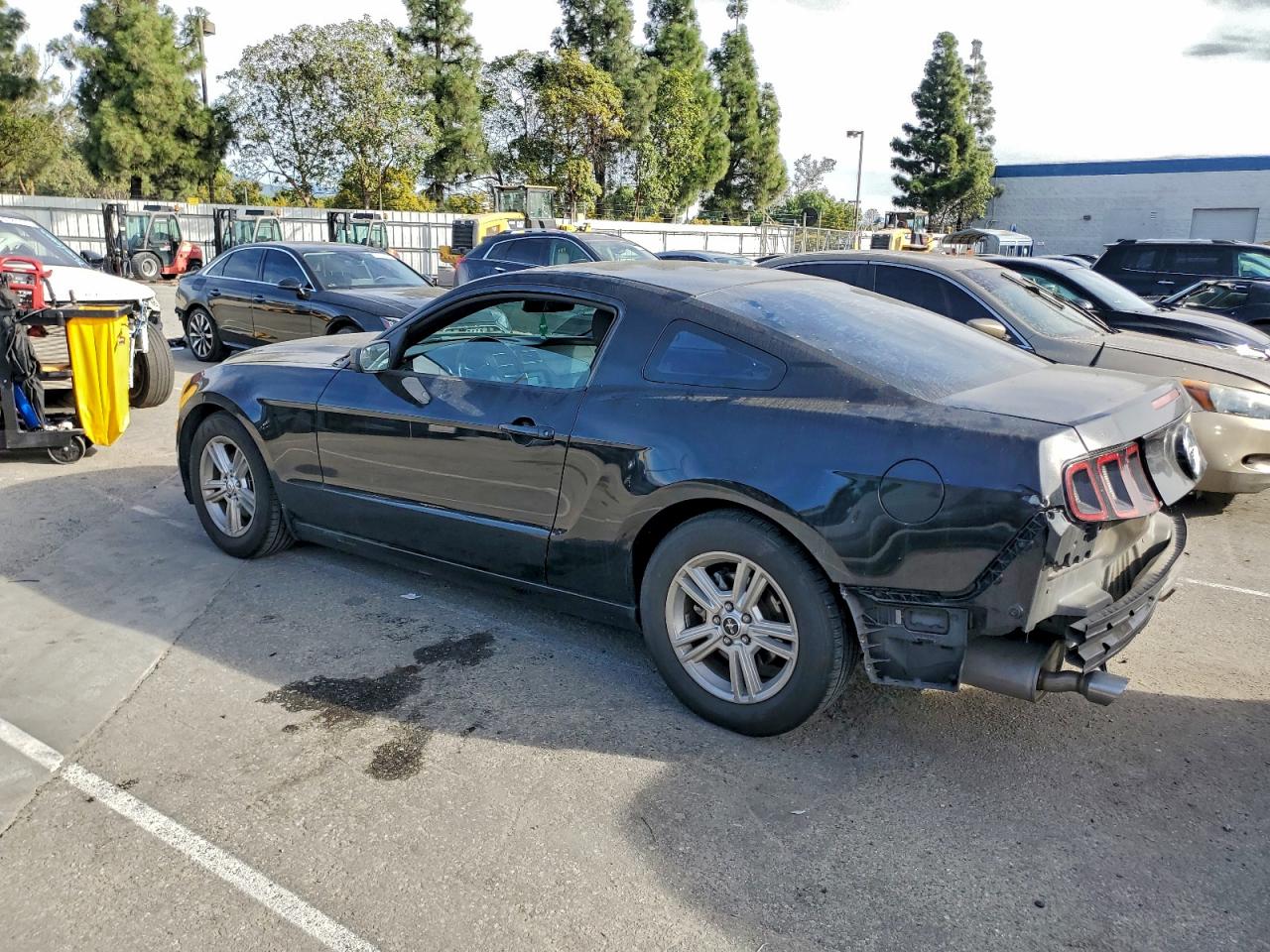 Ford Mustang Image 2