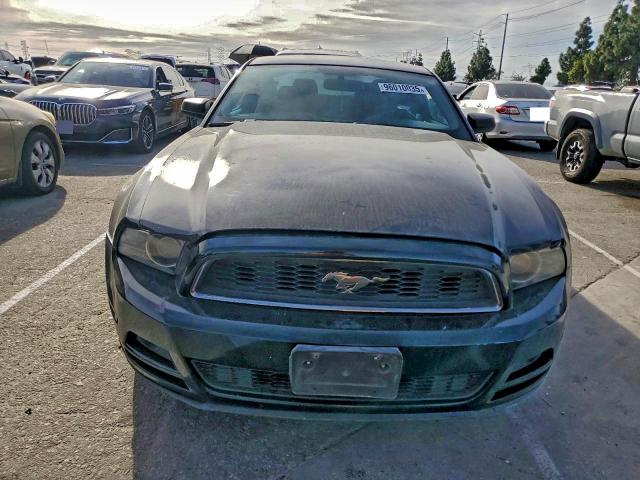 Ford Mustang Image 3