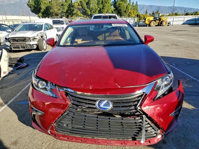 Lexus Es 300h Image 6