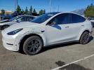 Tesla Model Y Image 1
