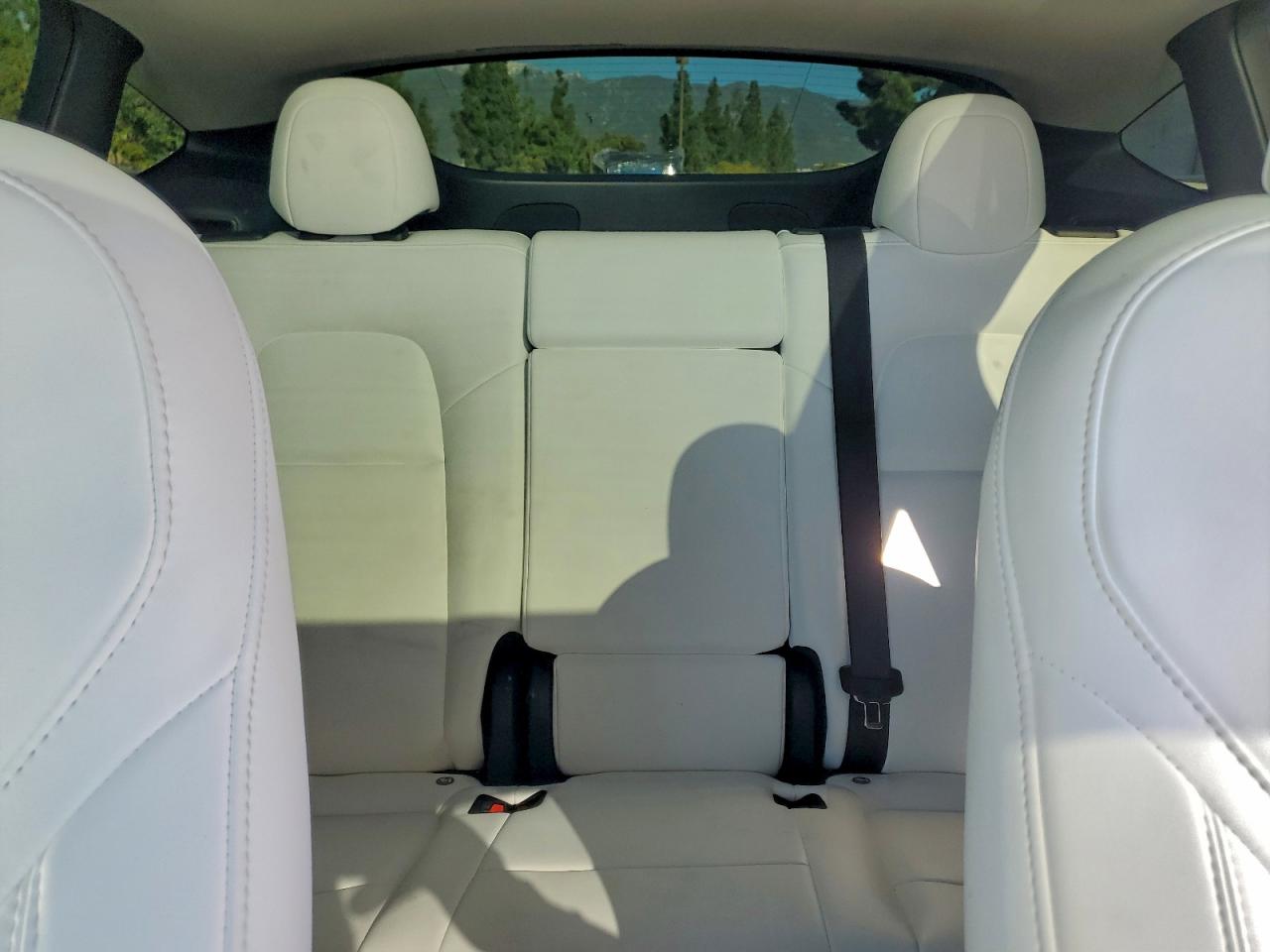 Tesla Model Y Image 4