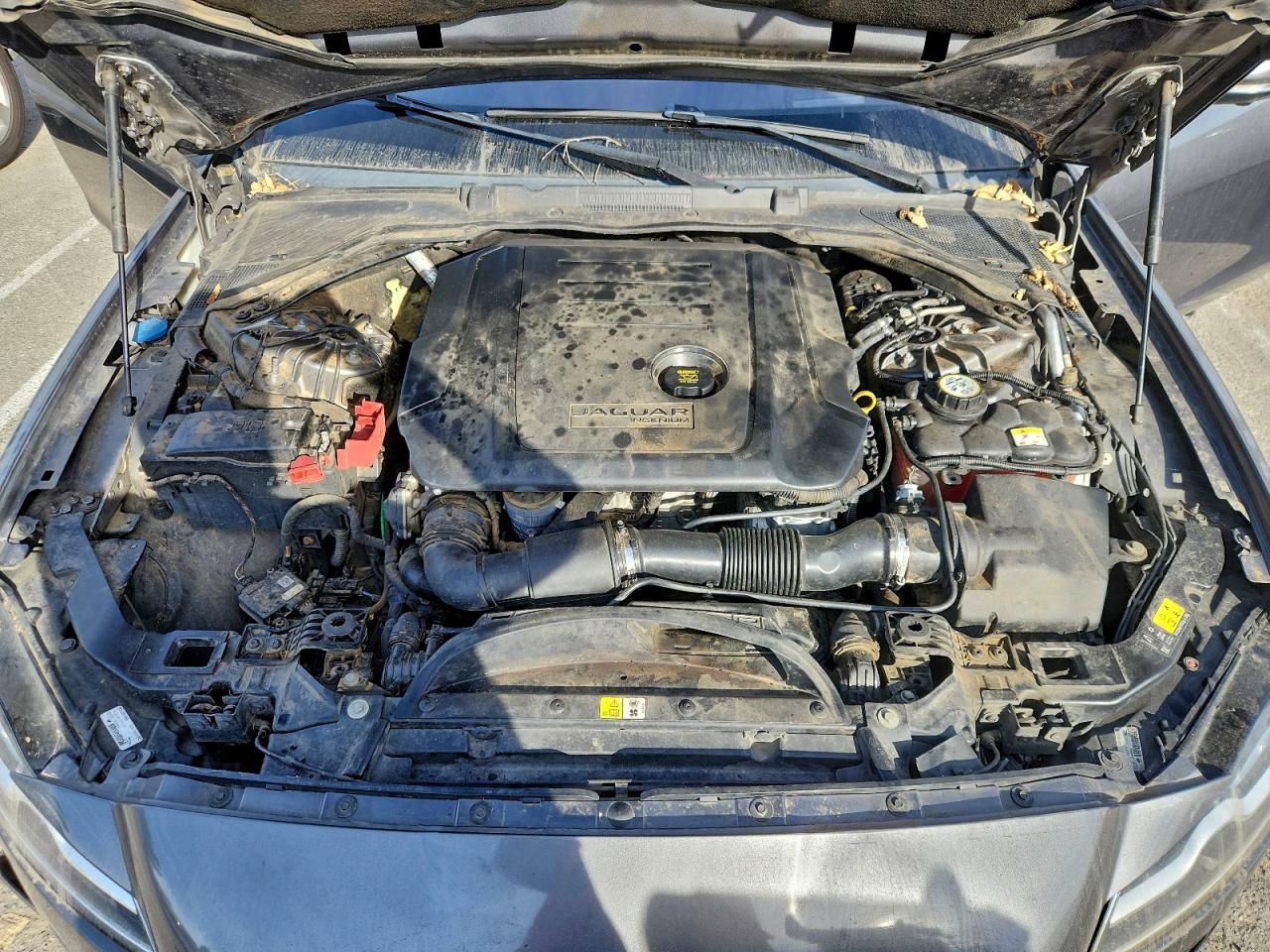 Jaguar XF R - Sport Image 10