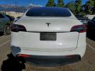 Tesla Model Y Image 7