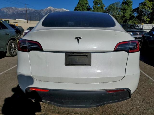 Tesla Model Y Image 7