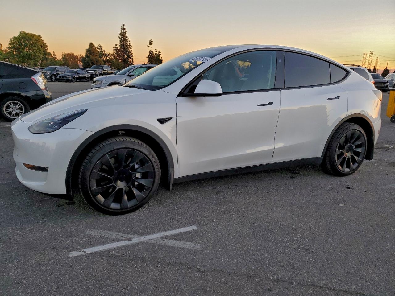 Tesla Model Y Image 1