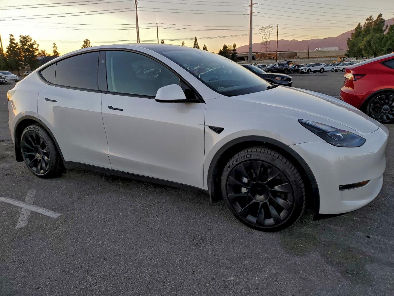 Tesla Model Y Image 5