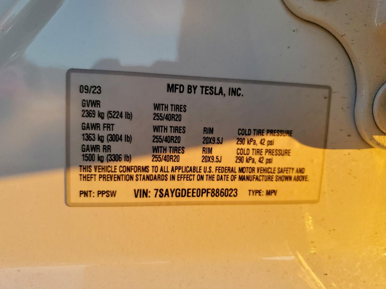 Tesla Model Y Image 12