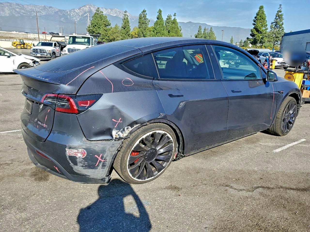Tesla Model Y Image 2