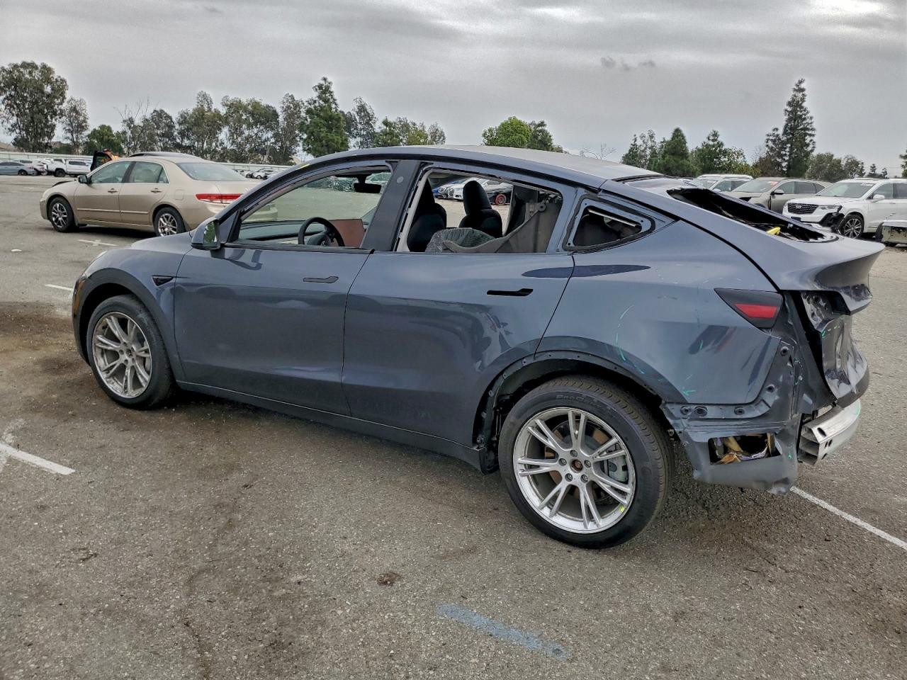 Tesla Model Y Image 2