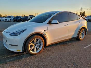  Salvage Tesla Model Y