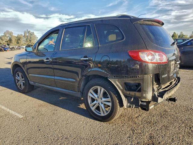 Hyundai SANTA FE Limited Image 4