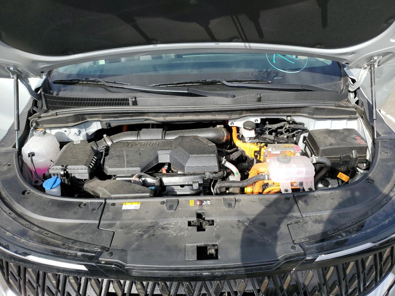 Kia Carnival Ex Image 14