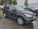 Honda Crv Exl Image 2