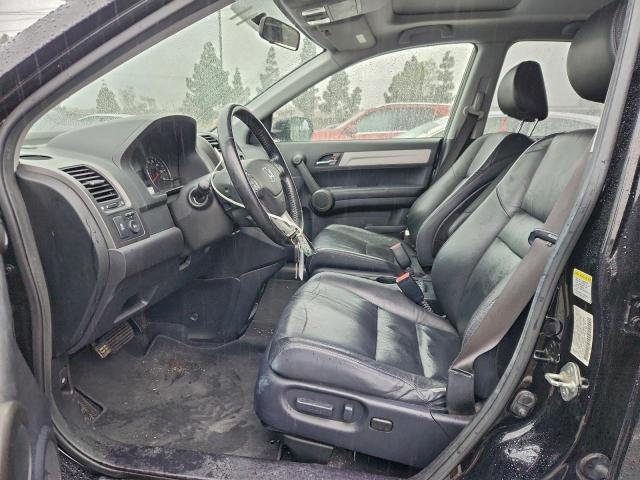 Honda Crv Exl Image 6