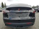 Tesla Model Y Image 2