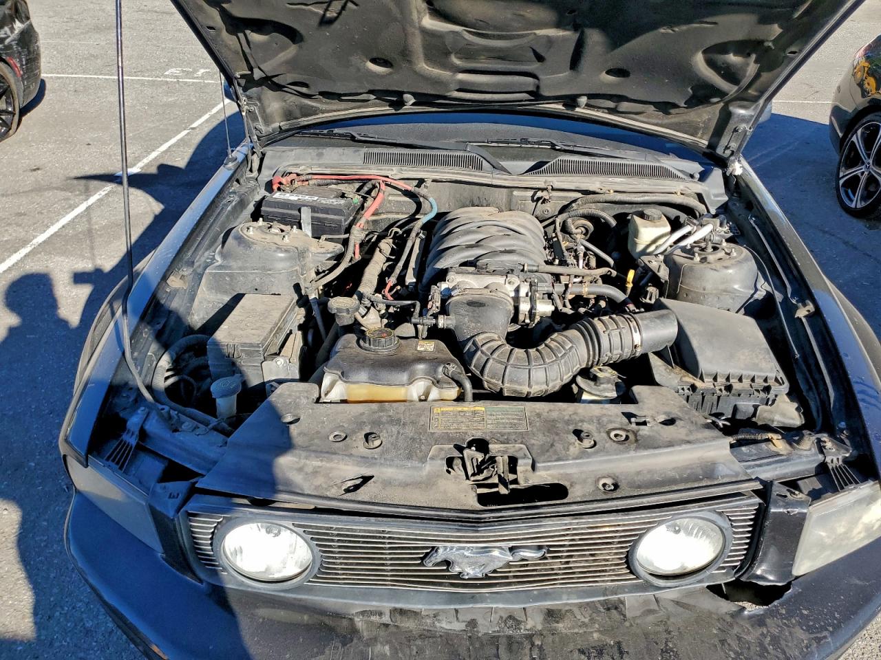 Ford Mustang Gt Image 9