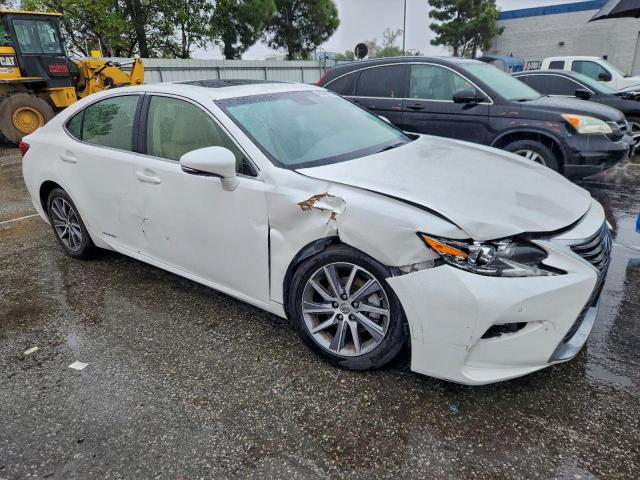 Lexus Es 300h Image 4