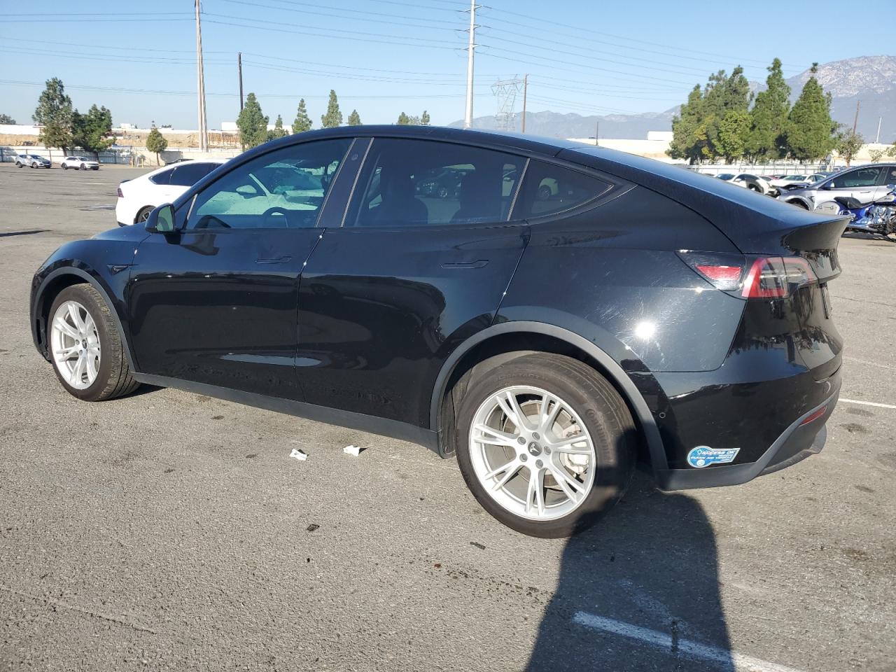 Tesla Model Y Image 6