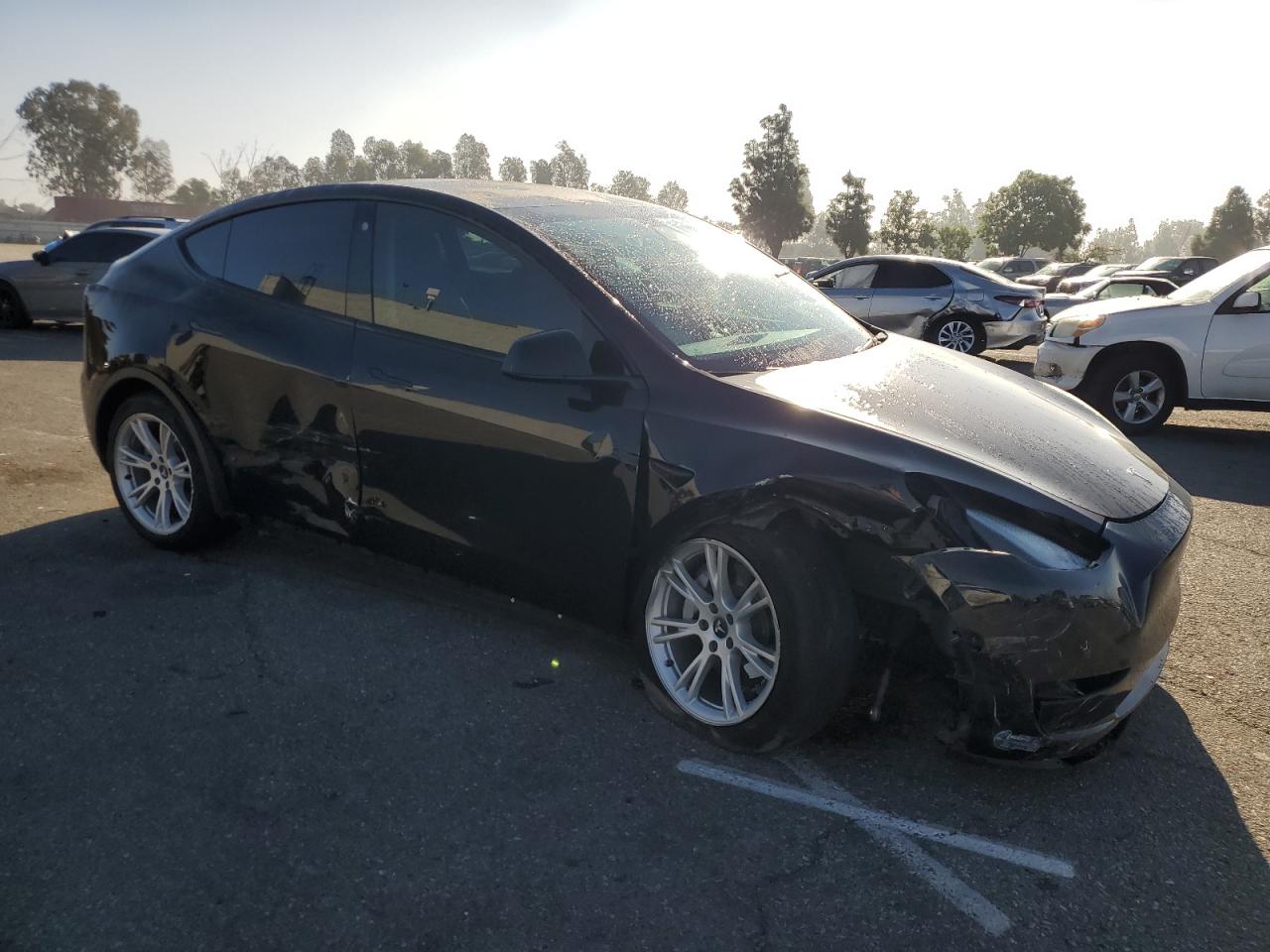 Tesla Model Y Image 3