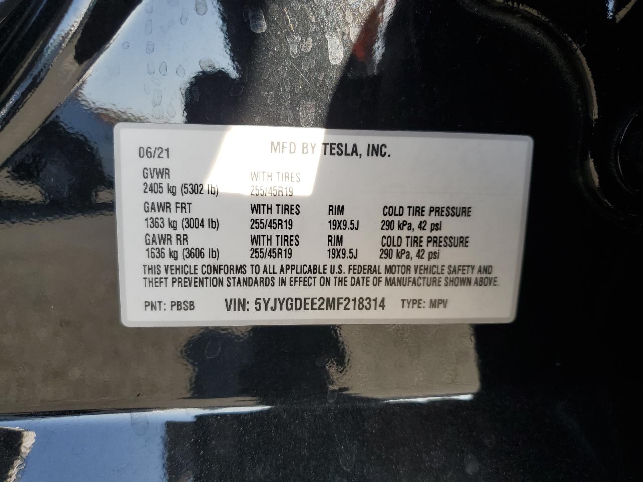 Tesla Model Y Image 12